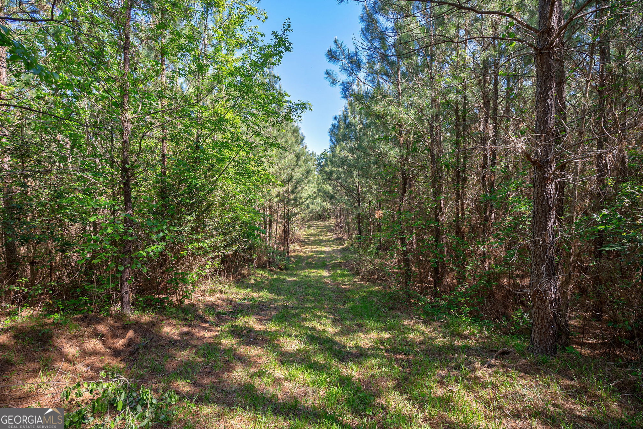 0 Brewer's Bridge Road Elberton, GA 30635 - Photo 36 of 38 a view of a yard