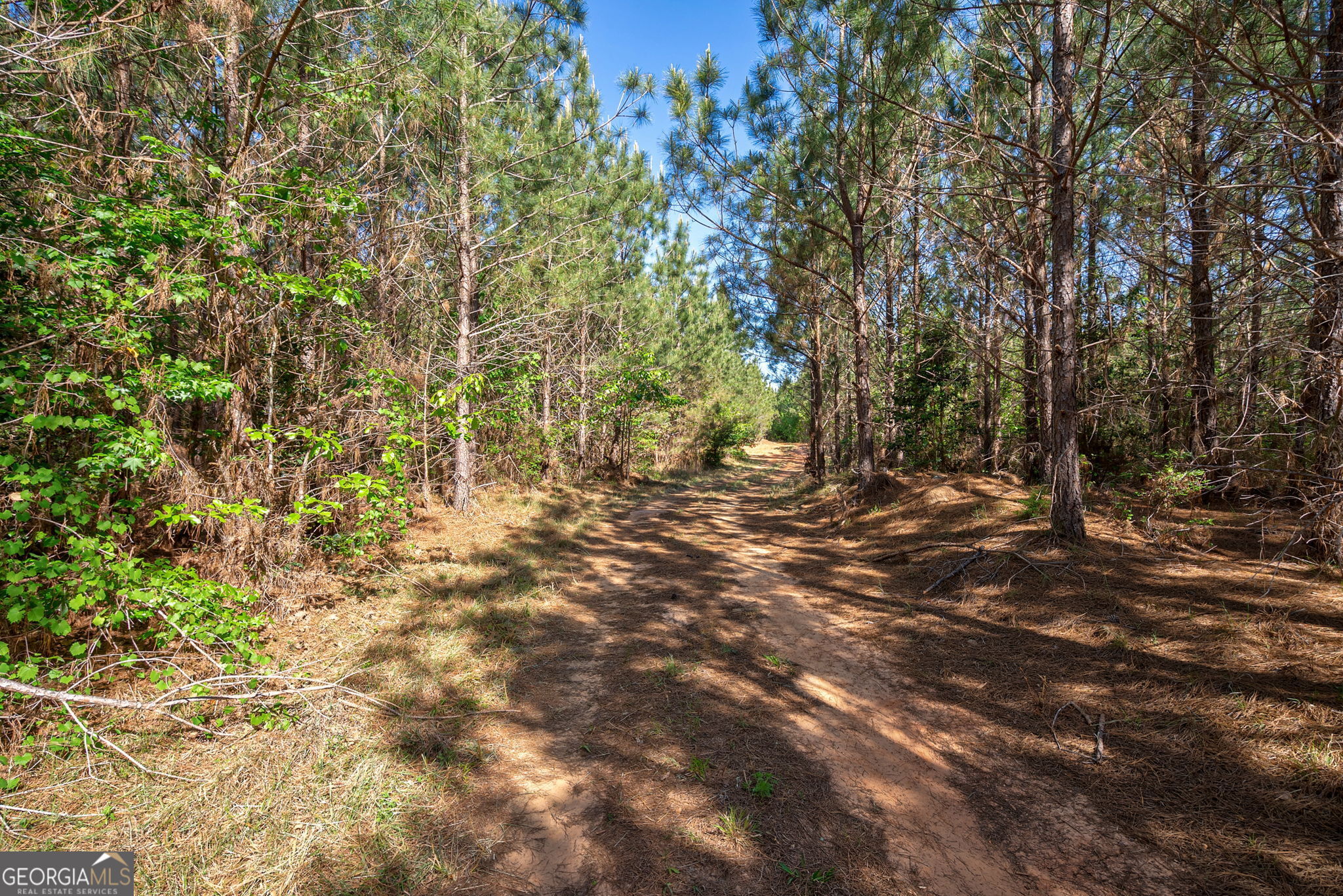 0 Brewer's Bridge Road Elberton, GA 30635 - Photo 4 of 38 a view of outdoor space with trees
