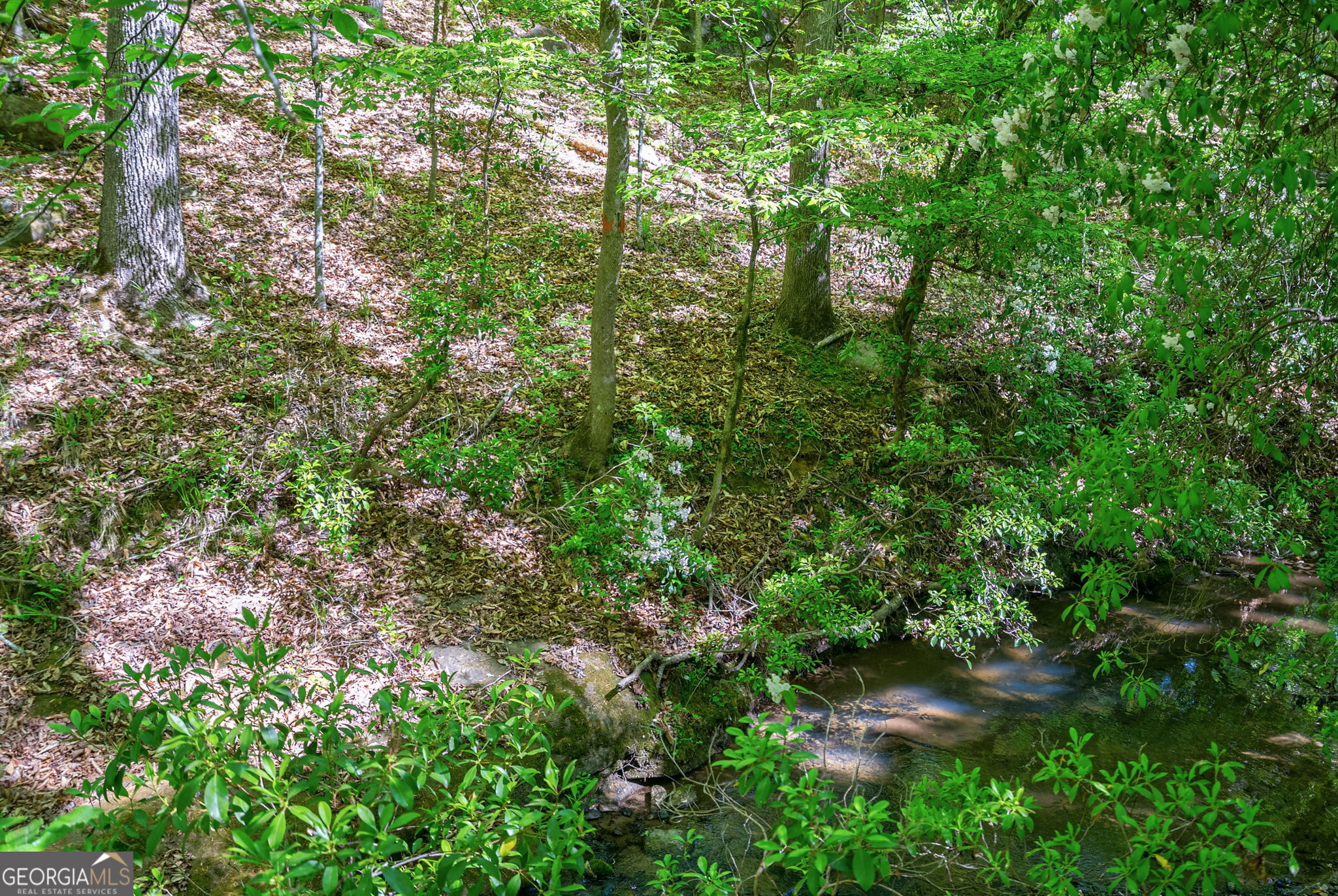 0 Brewer's Bridge Road Elberton, GA 30635 - Photo 10 of 38 a view of a lush green forest with lawn chairs