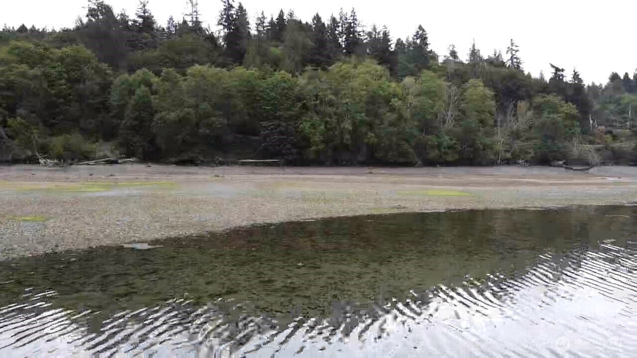 5301 East State Route 302 Belfair, WA 98528 - Photo 12 of 18 a view of a lake view