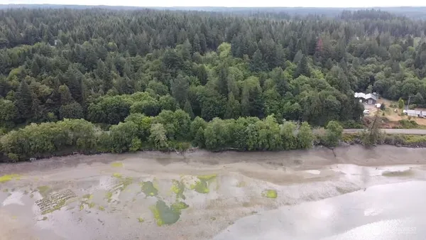 a view of a dry yard with trees