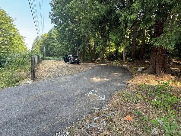a view of a yard with a tree