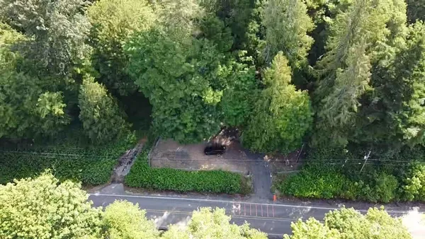 a view of a garden with a lake