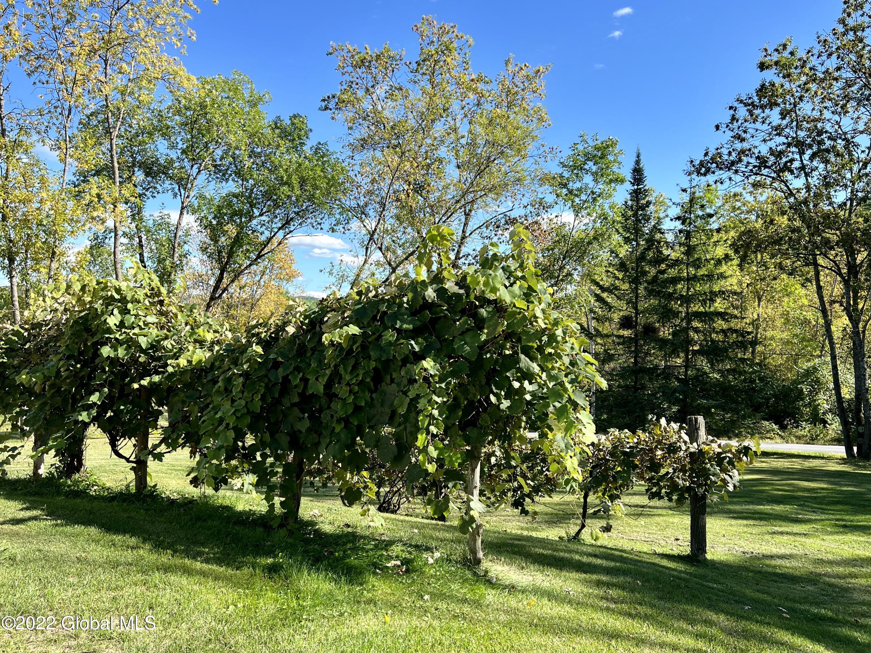 507 Cummings Road Putnam, NY 12861 - Photo 21 of 76 IMG_3988