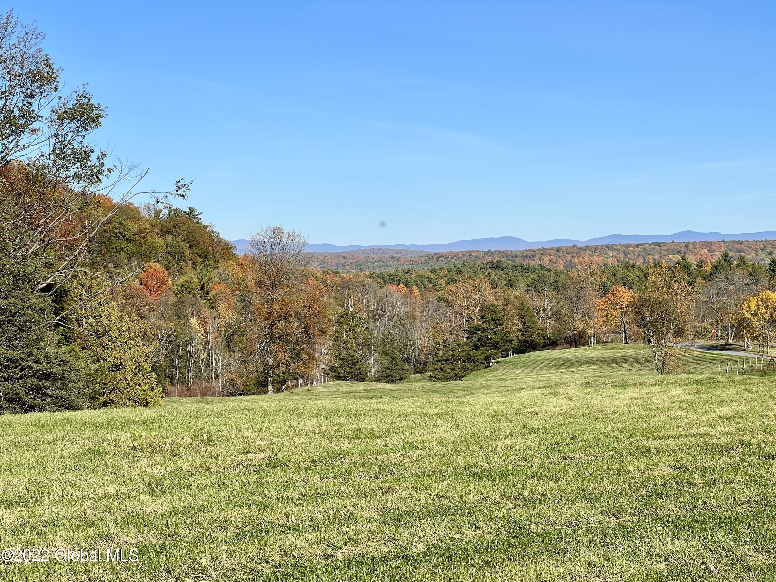 507 Cummings Road Putnam, NY 12861 - Photo 22 of 76 IMG_4213