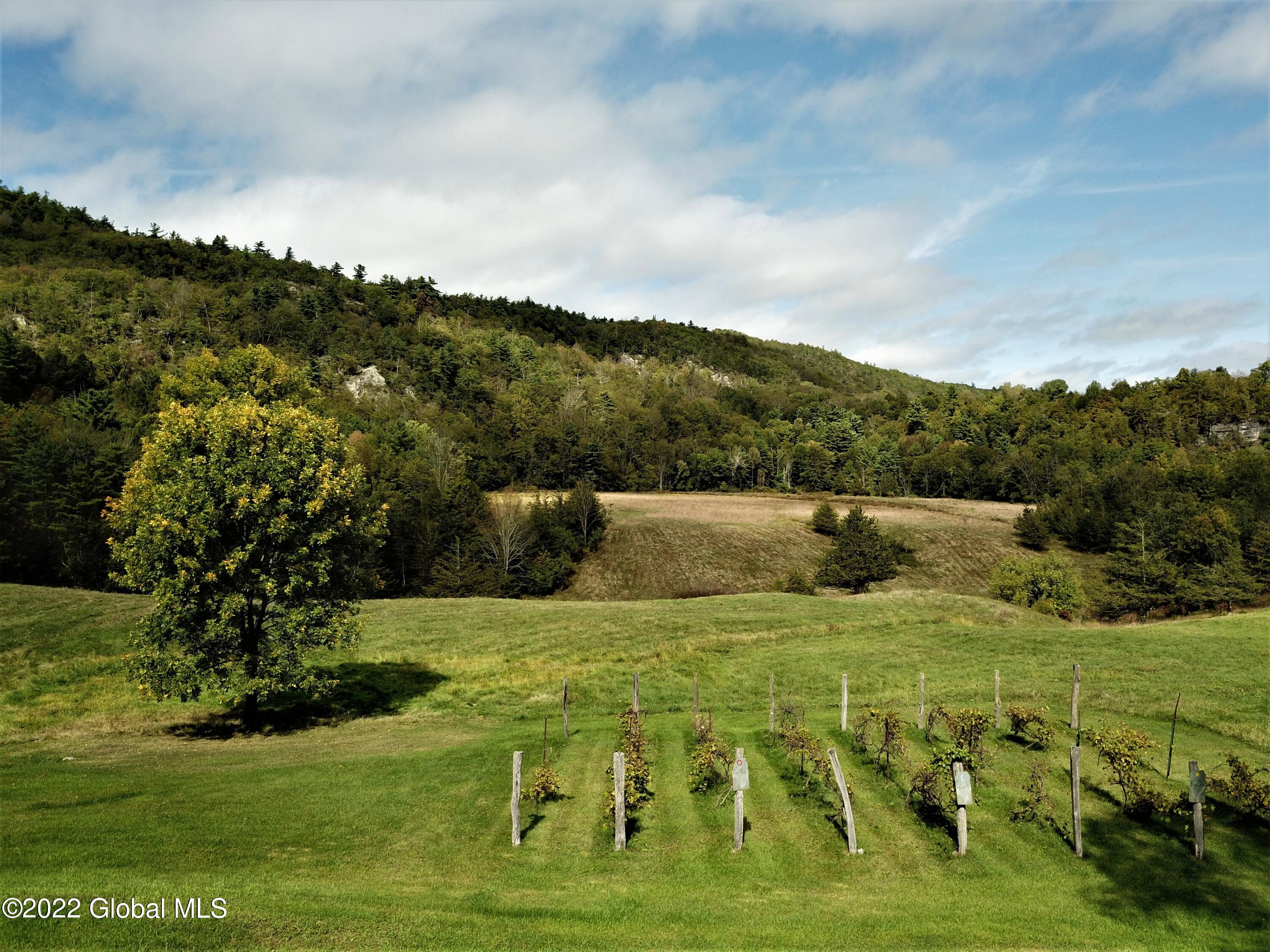 507 Cummings Road Putnam, NY 12861 - Photo 26 of 76 DJI_0004 (2)