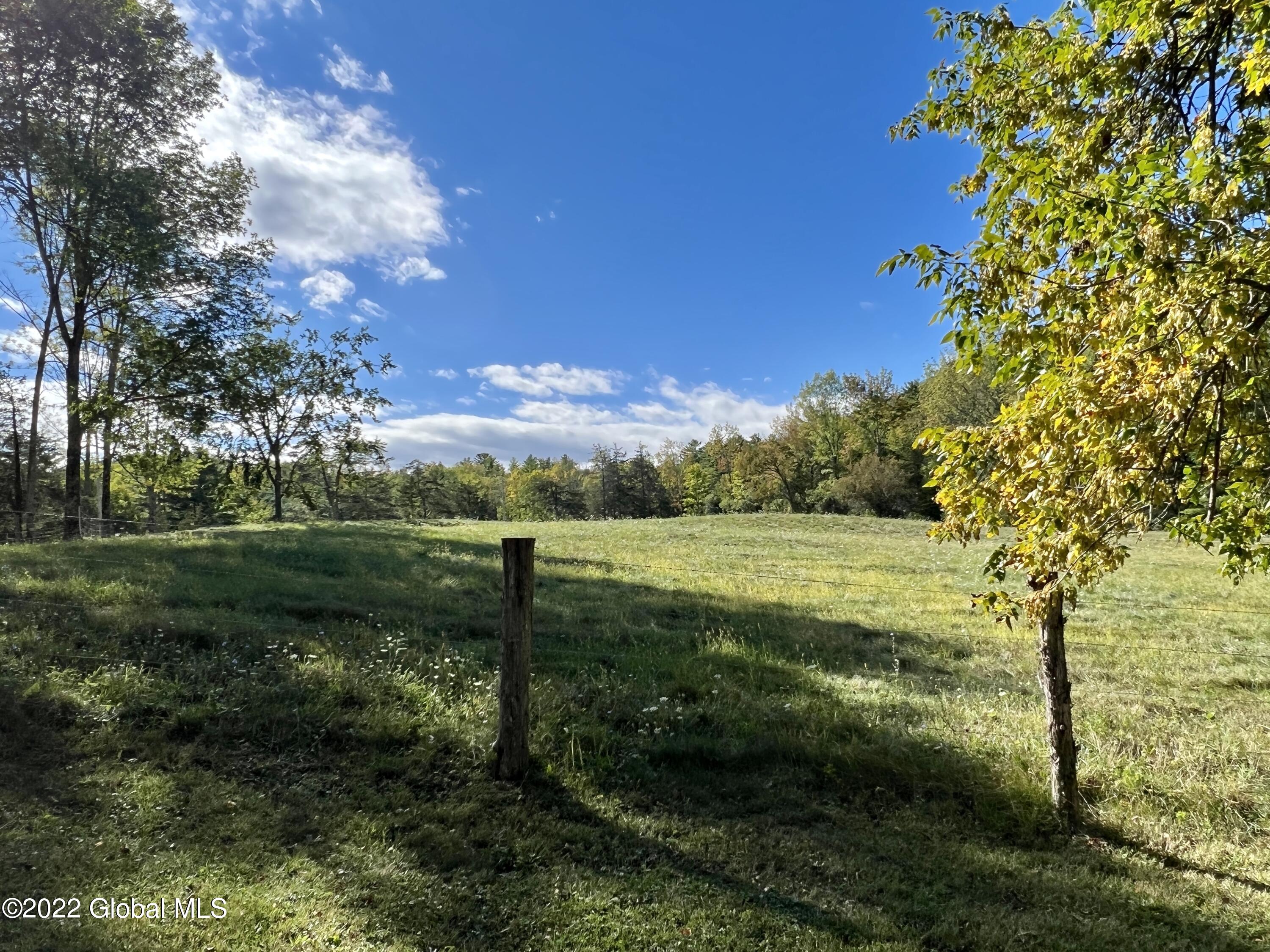 507 Cummings Road Putnam, NY 12861 - Photo 27 of 76 IMG_3956
