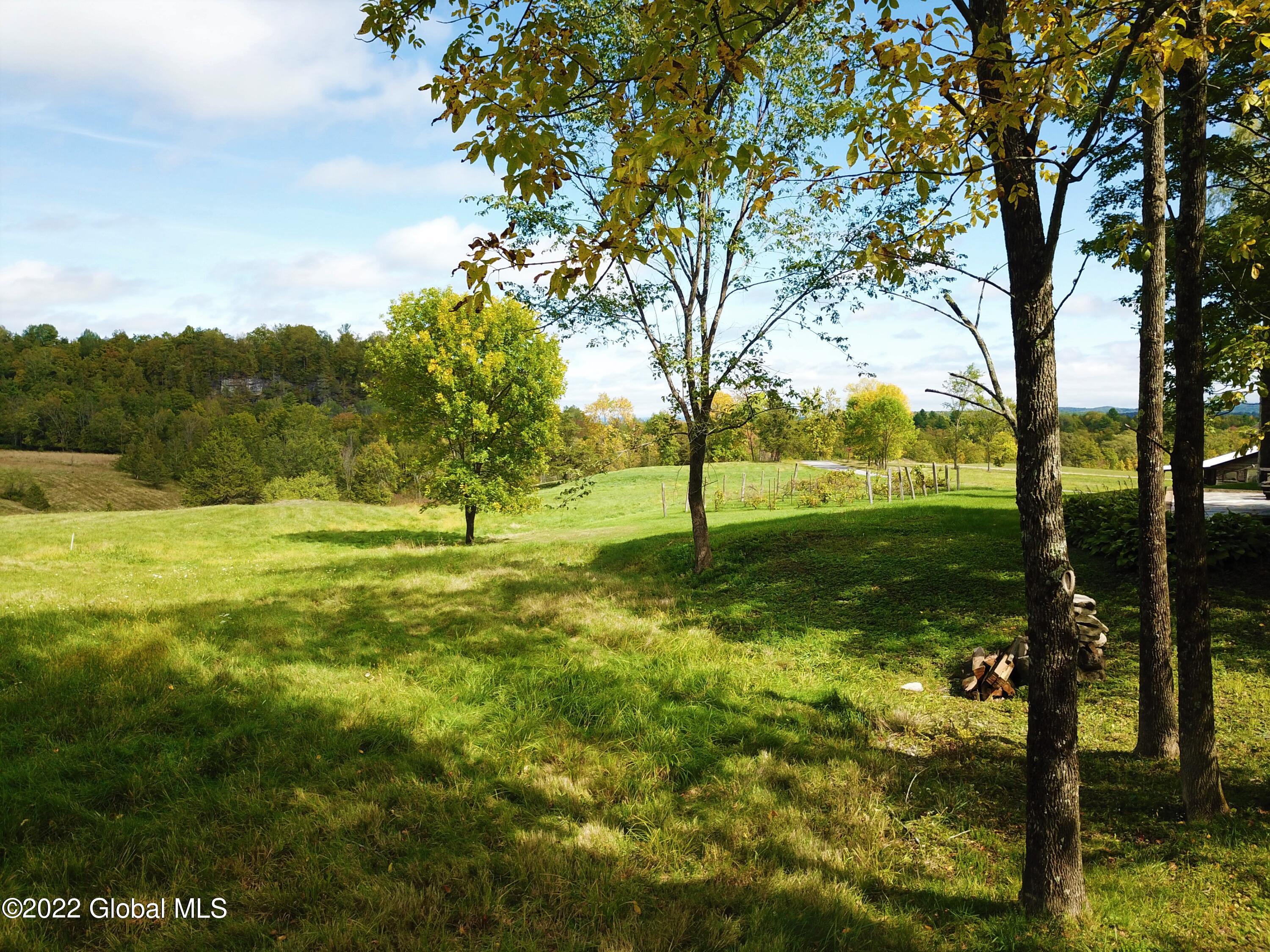 507 Cummings Road Putnam, NY 12861 - Photo 29 of 76 DJI_0008 (2)
