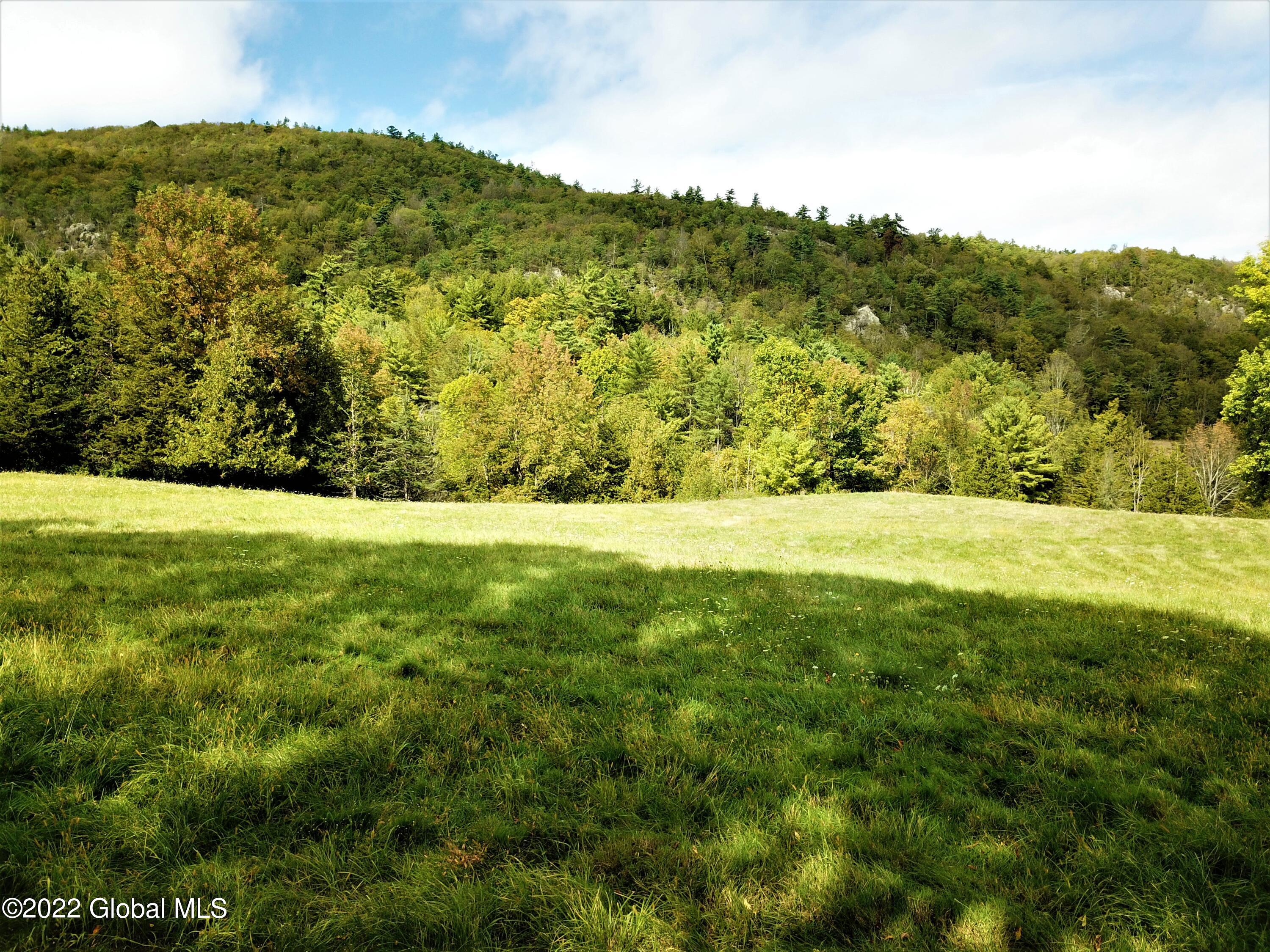 507 Cummings Road Putnam, NY 12861 - Photo 30 of 76 DJI_0009 (2)