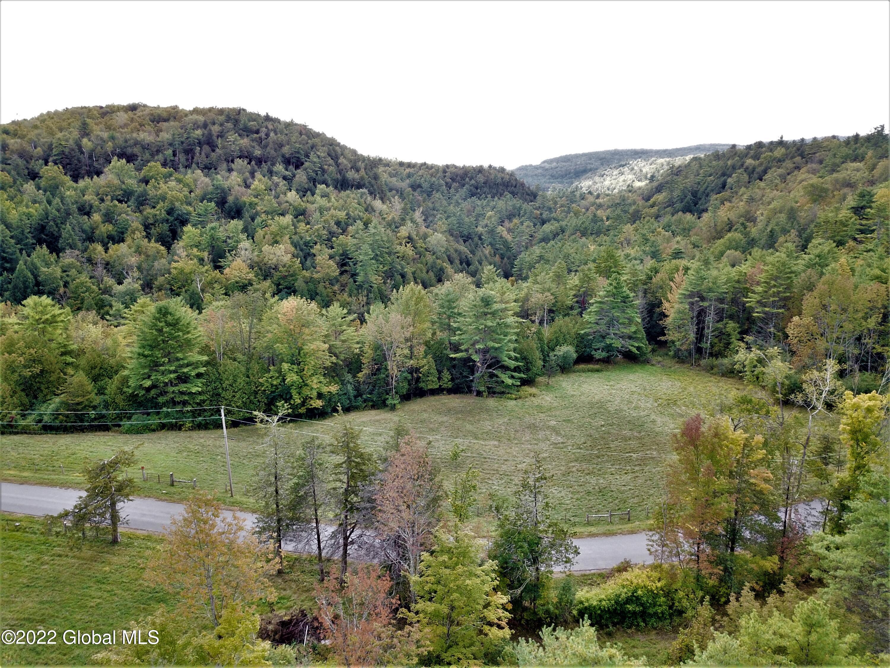 507 Cummings Road Putnam, NY 12861 - Photo 31 of 76 DJI_0015 (2)