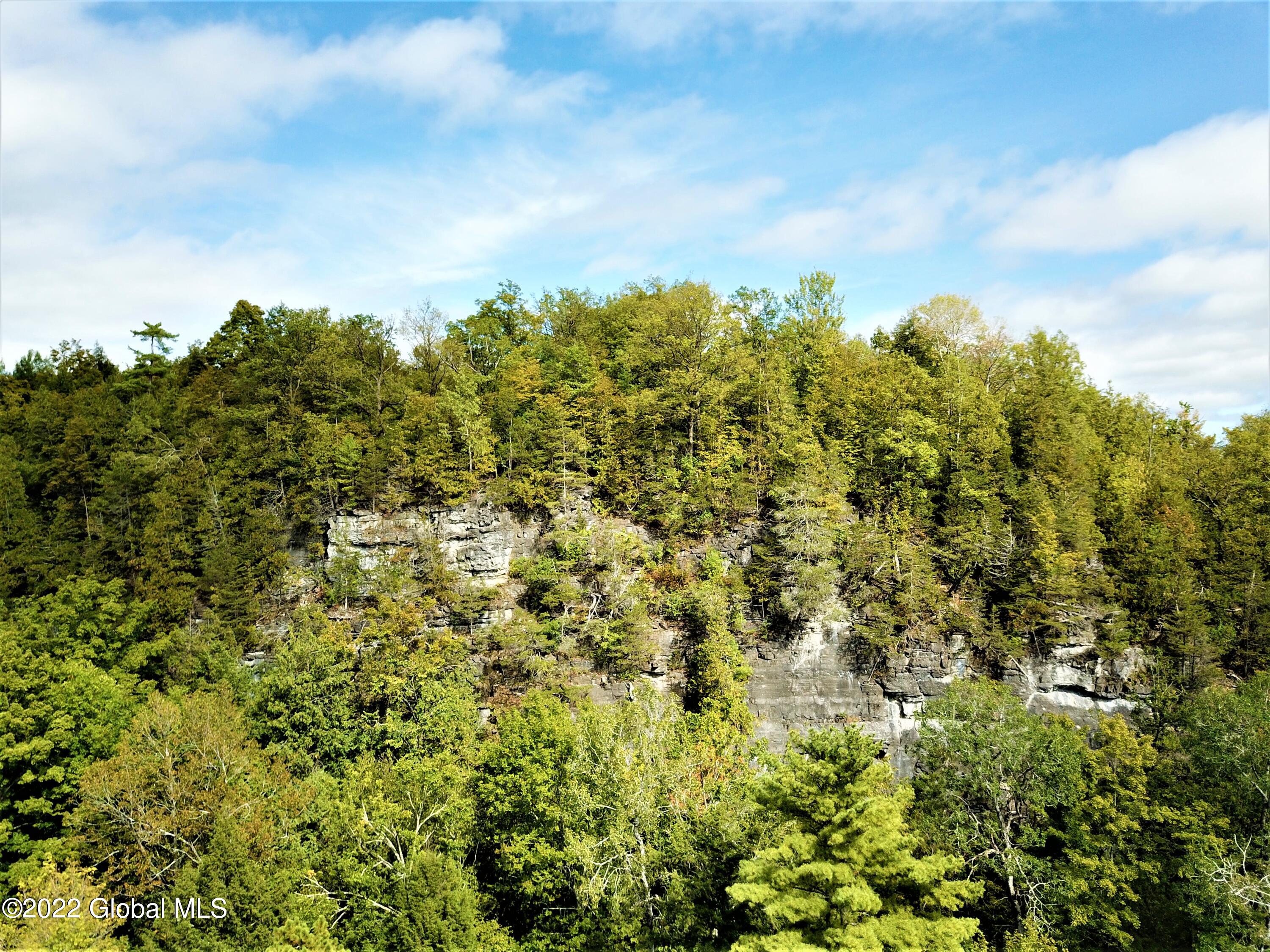 507 Cummings Road Putnam, NY 12861 - Photo 32 of 76 DJI_0020 (2)