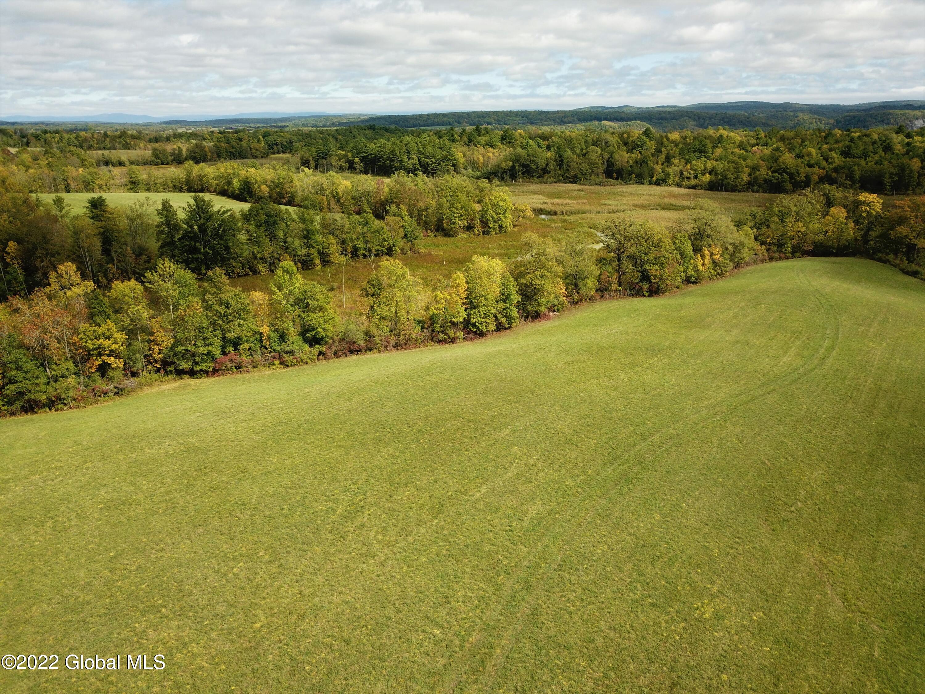 507 Cummings Road Putnam, NY 12861 - Photo 33 of 76 DJI_0024 (2)