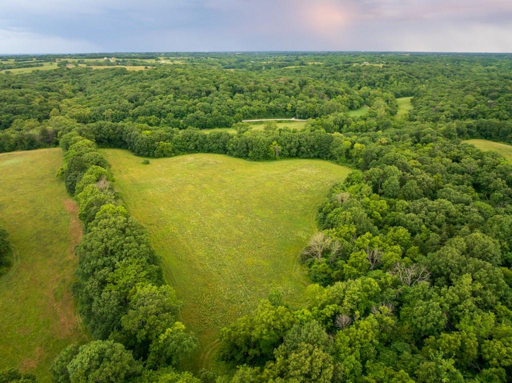 Tbd Norris Road Rayville, MO 64084 - Photo 13 of 35