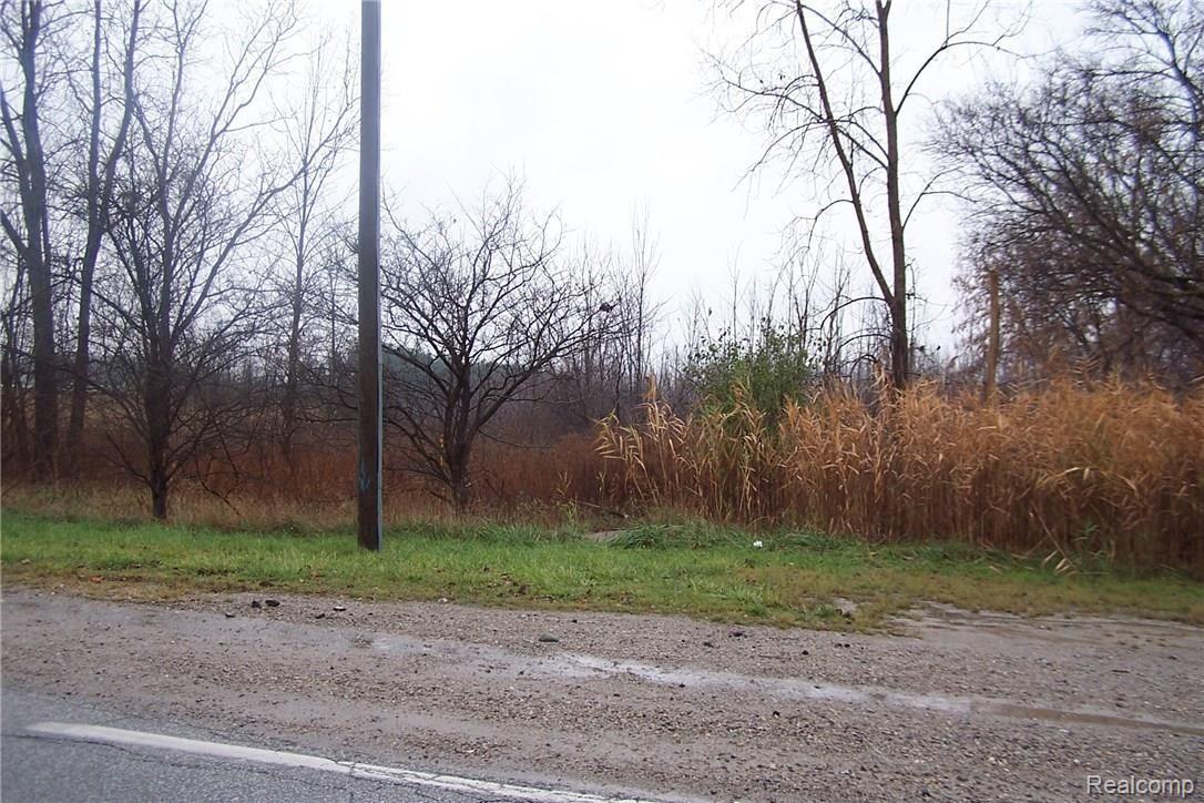 0 29 29 Mile Road Washington, MI 48095 - Photo 4 of 4 Road 4.JPG