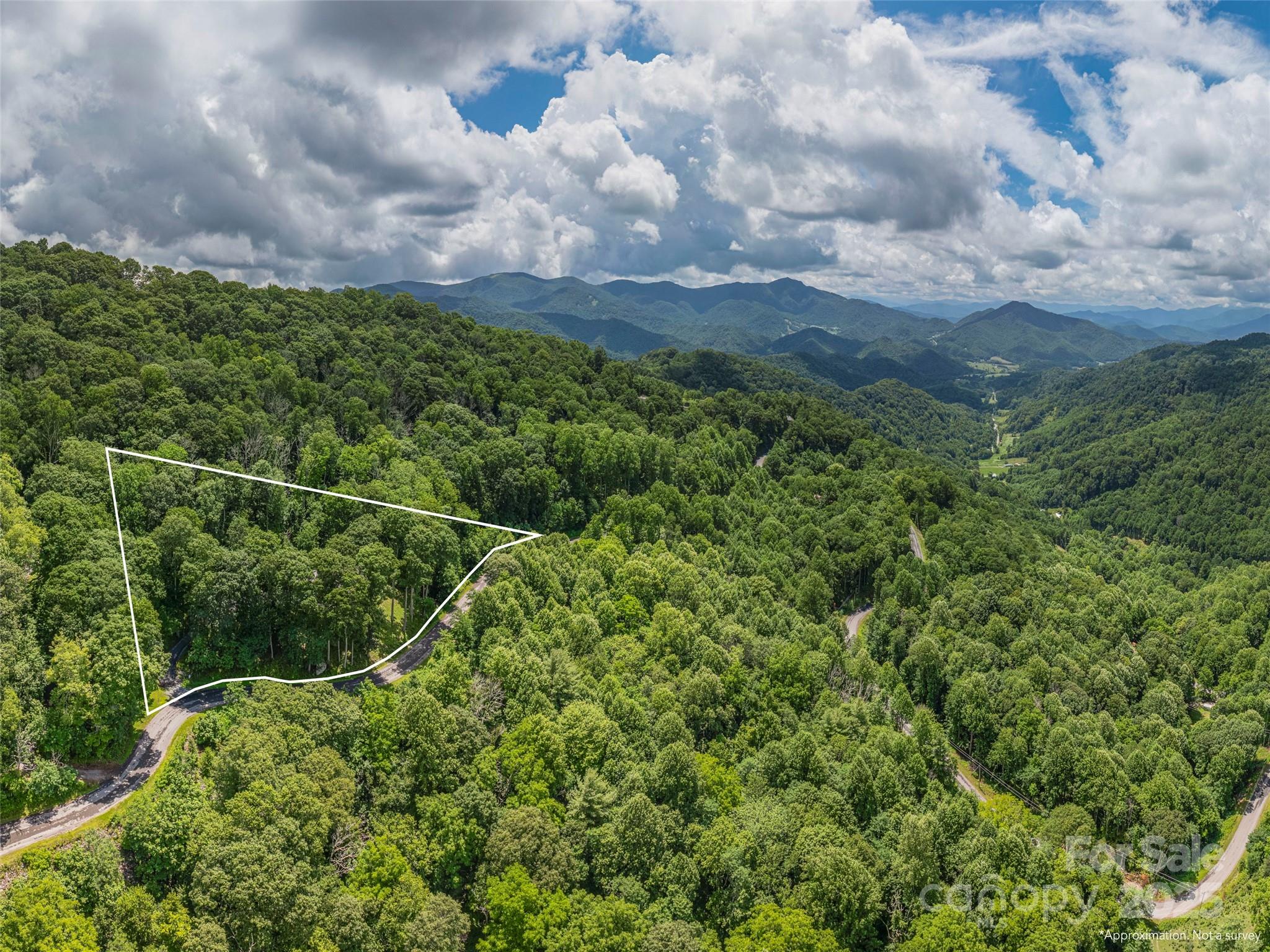 3424 Wesley Creek Road Clyde, NC 28721 - Photo 31 of 45