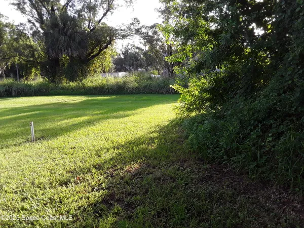 a view of a field with a tree