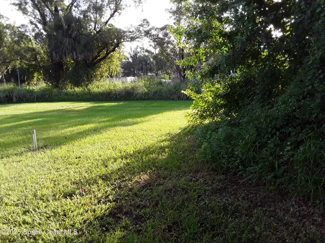 a view of a field with a tree