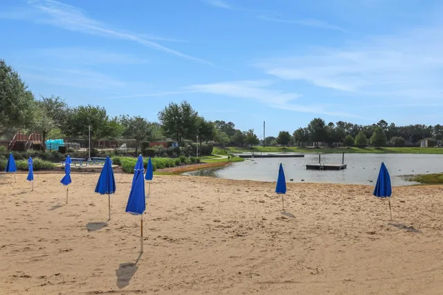 a park view of water with a palm tree