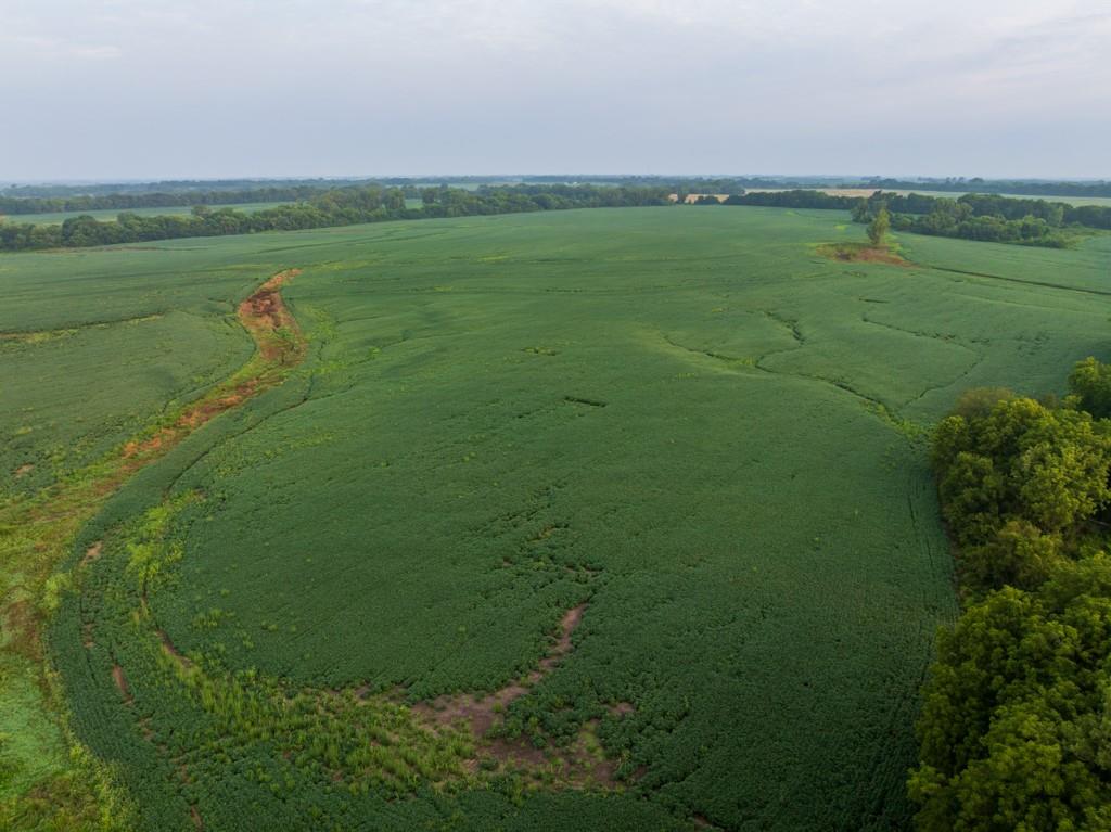 Tbd Southwest 1300 Road Chilhowee, MO 64733 - Photo 50 of 67 Gallery Image 50
