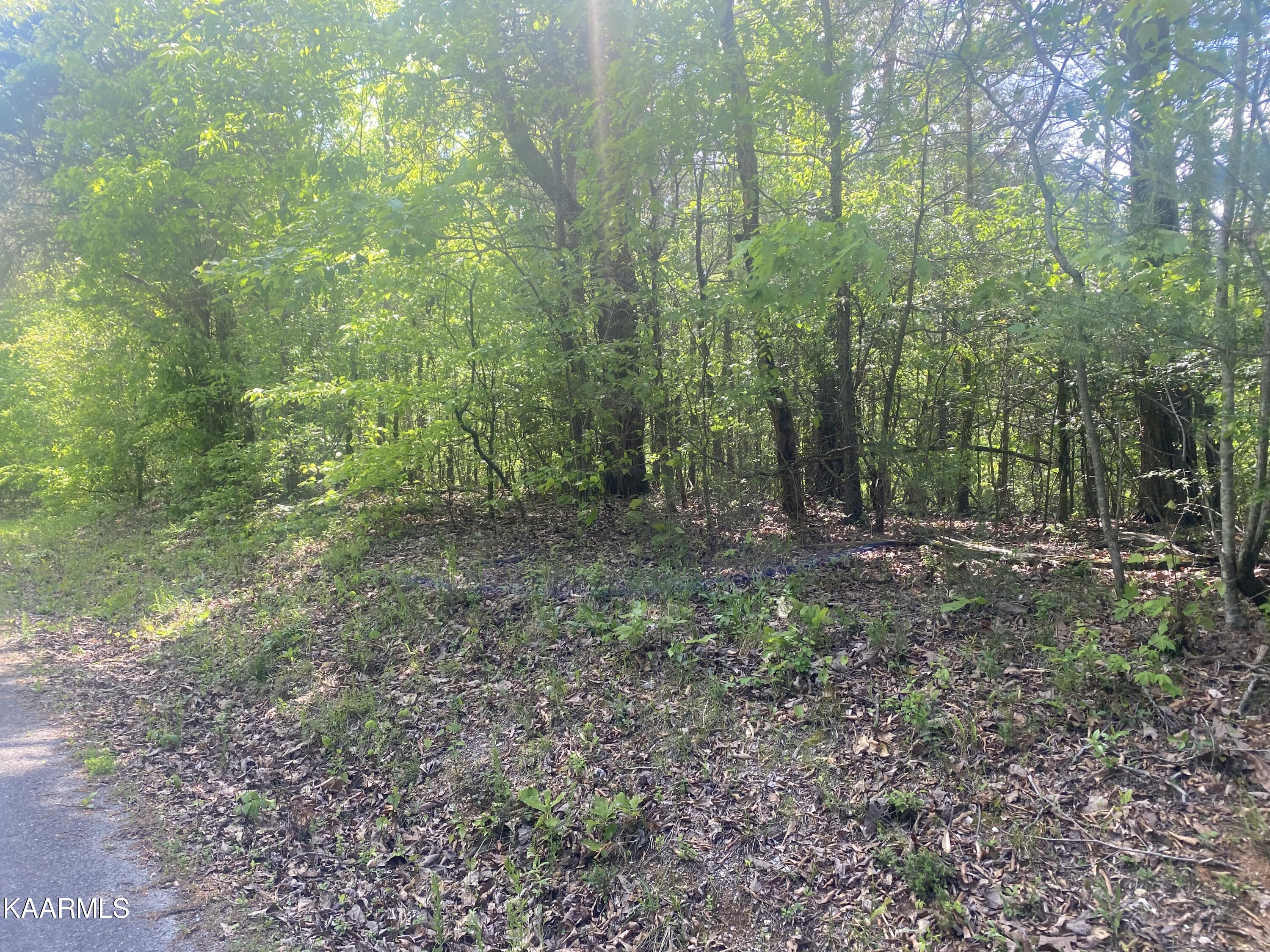 Ten Mile Tn 37880 Road Ten Mile, TN 37880 - Photo 5 of 6 Goins Hill Road-5