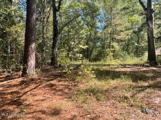 59170 Wilfred Singley Road Angie, LA 70426 - Photo 11 of 13 IMG_3823