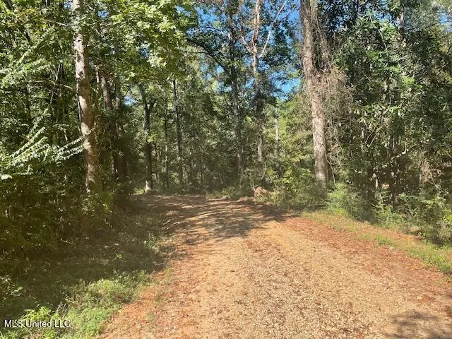 $134,500 | 59170 Wilfred Singley Road, Angie, LA 70426