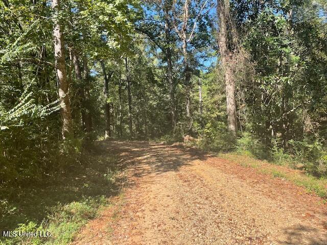 59170 Wilfred Singley Road Angie, LA 70426 - Photo 13 of 13 IMG_3827