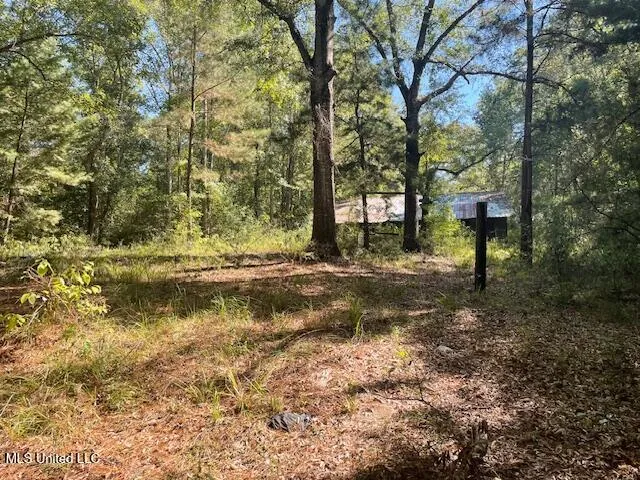 $134,500 | 59170 Wilfred Singley Road, Angie, LA 70426