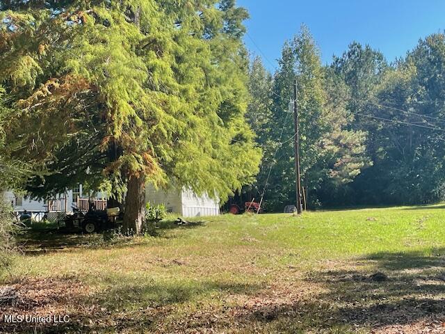 59170 Wilfred Singley Road Angie, LA 70426 - Photo 9 of 13 IMG_3819