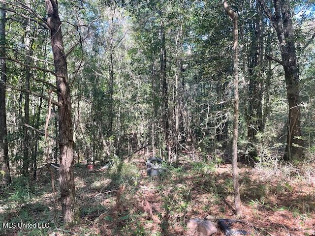 59170 Wilfred Singley Road Angie, LA 70426 - Photo 10 of 13 IMG_3821