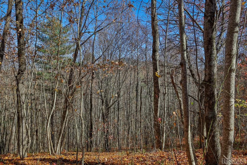 Tbd Buck Knob Road Highlands, NC 28741 - Photo 2 of 13 Gallery Image 2