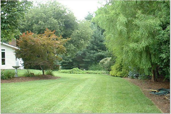 4290 Walnut Grove Road Shawsville, VA 24162 - Photo 8 of 23 Yard View