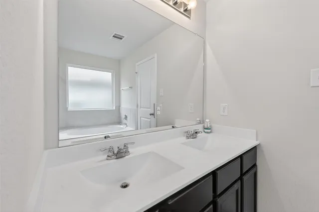 a bathroom with a sink vanity and a mirror