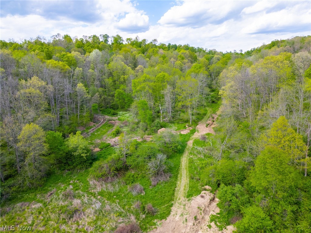 69800 Skull Fork Road Freeport, OH 43973 - Photo 20 of 50