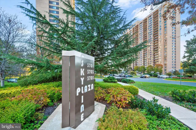 a view of a garden with a large tree