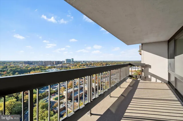 a view of a lake with a city