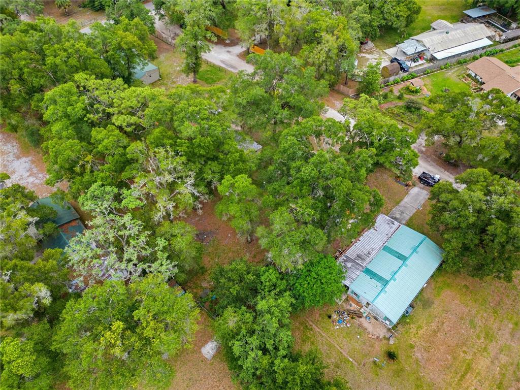 4786 Southwest 122nd Lane Webster, FL 33597 - Photo 46 of 55