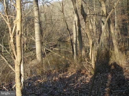 40 Cedar Knoll Road Cockeysville, MD 21030 - Photo 25 of 28 Property backs to Beaver Dam Run and woods