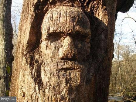 40 Cedar Knoll Road Cockeysville, MD 21030 - Photo 26 of 28 Tree Carving