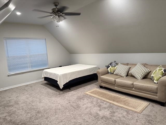 739 Summit Springs Drive Marble Falls, TX 78654 - Photo 10 of 15