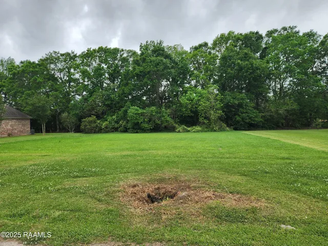 $19,000 | Tbd Dohmann Street, Ville Platte, LA 70586