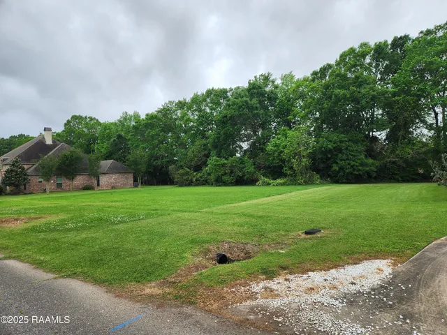 $19,000 | Tbd Dohmann Street, Ville Platte, LA 70586