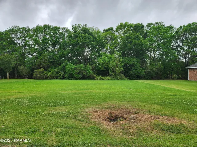 $19,000 | Tbd Dohmann Street, Ville Platte, LA 70586