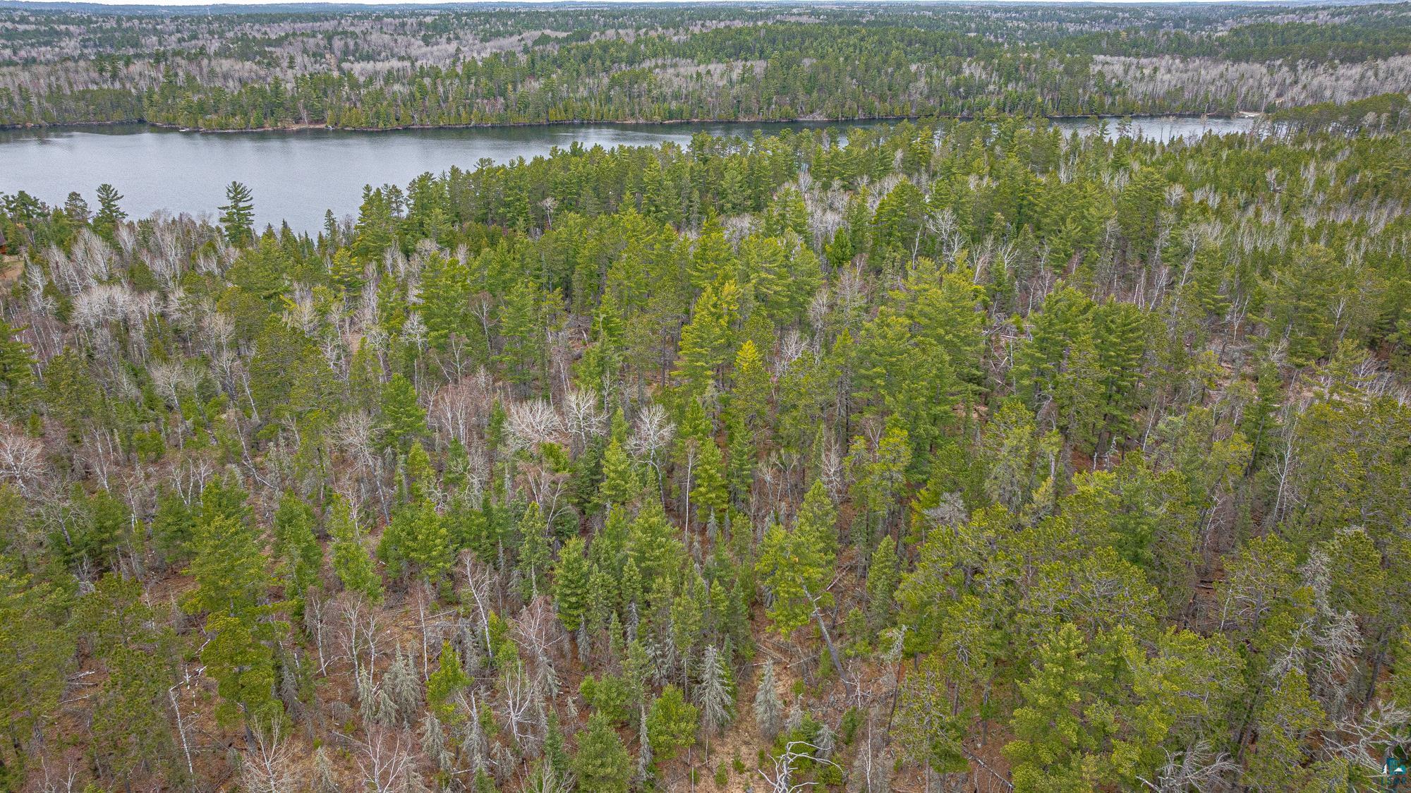 Tbd Lindbeck Road Ely, MN 55731 - Photo 25 of 44