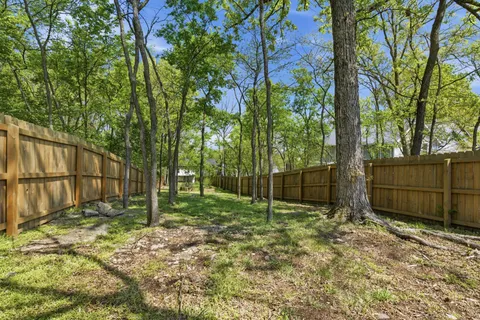 a view of backyard and tree