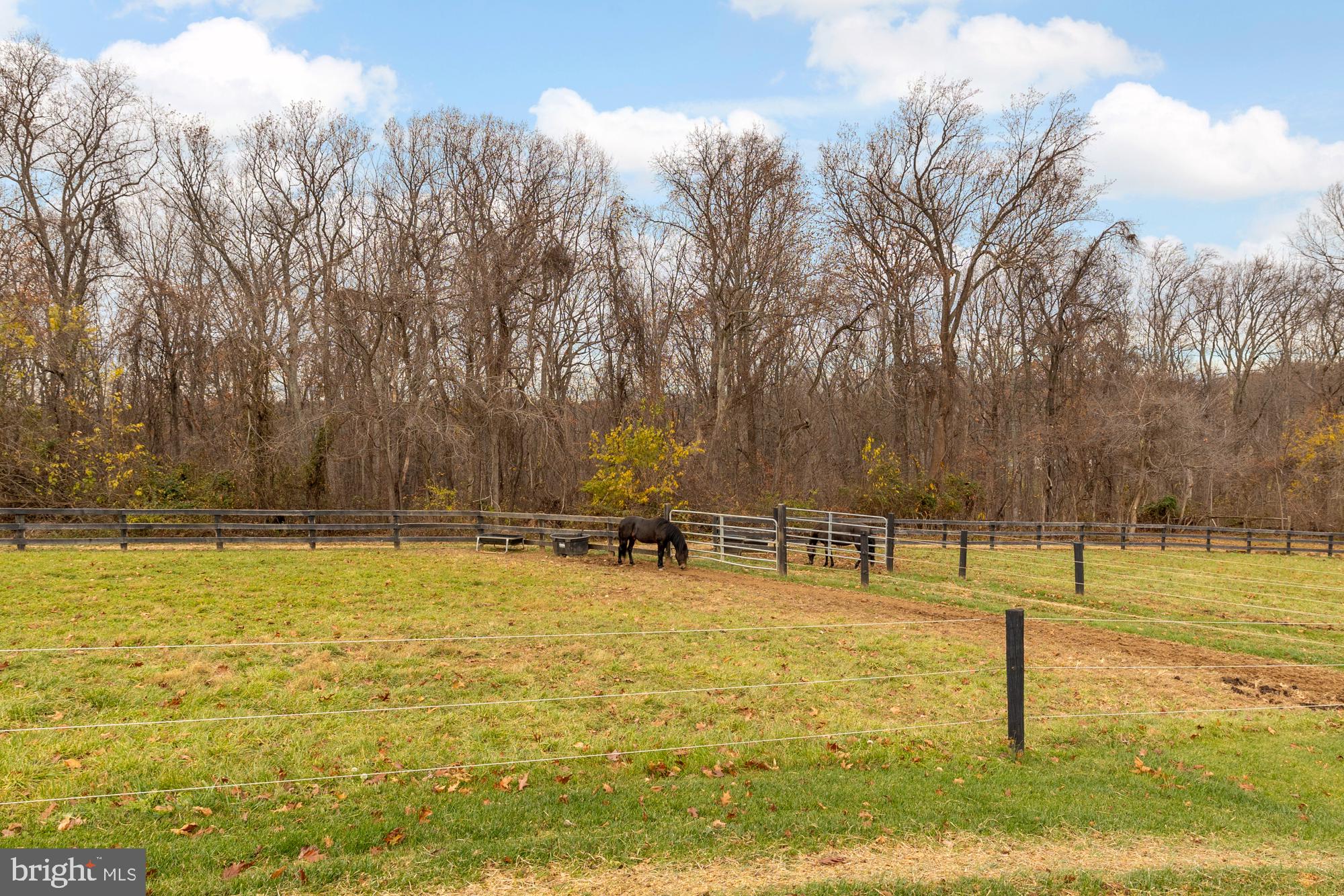 19109 Peale Lane Leesburg, VA 20175 - Photo 123 of 135 a swimming pool with outdoor seating and yard