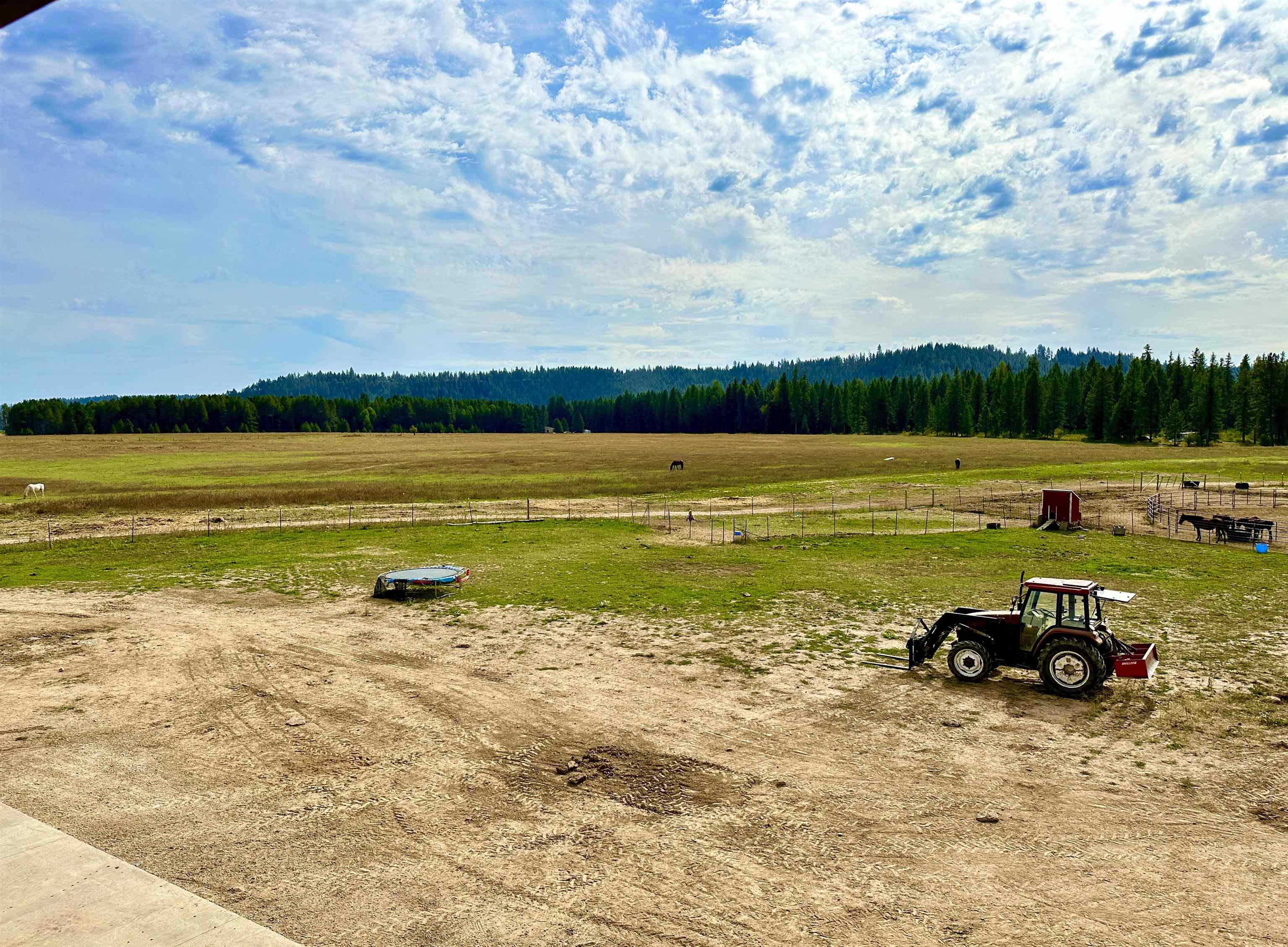 4583 B Springdale Hunters Road Springdale, WA 99173 - Photo 33 of 50
