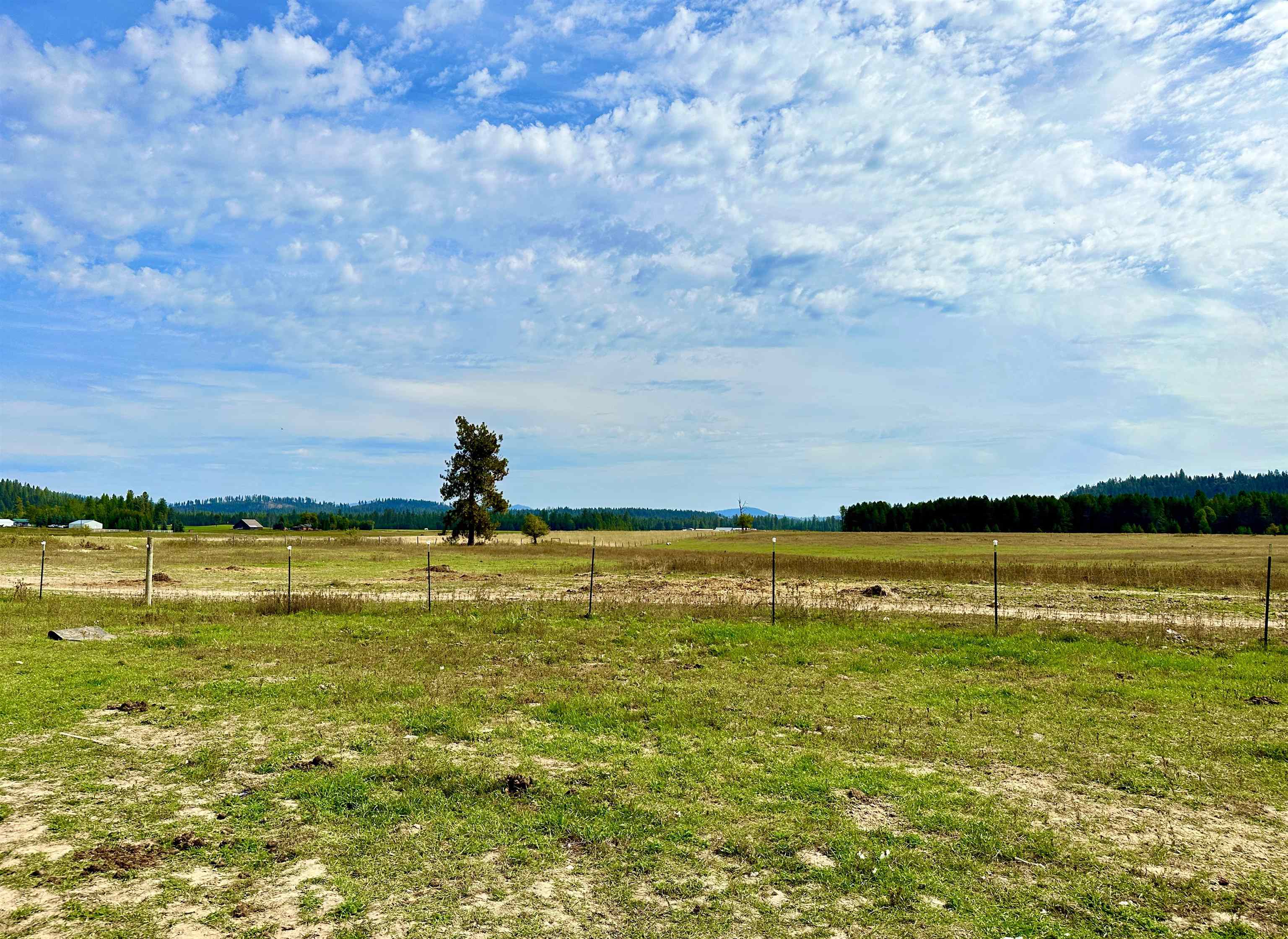 4583 B Springdale Hunters Road Springdale, WA 99173 - Photo 42 of 50