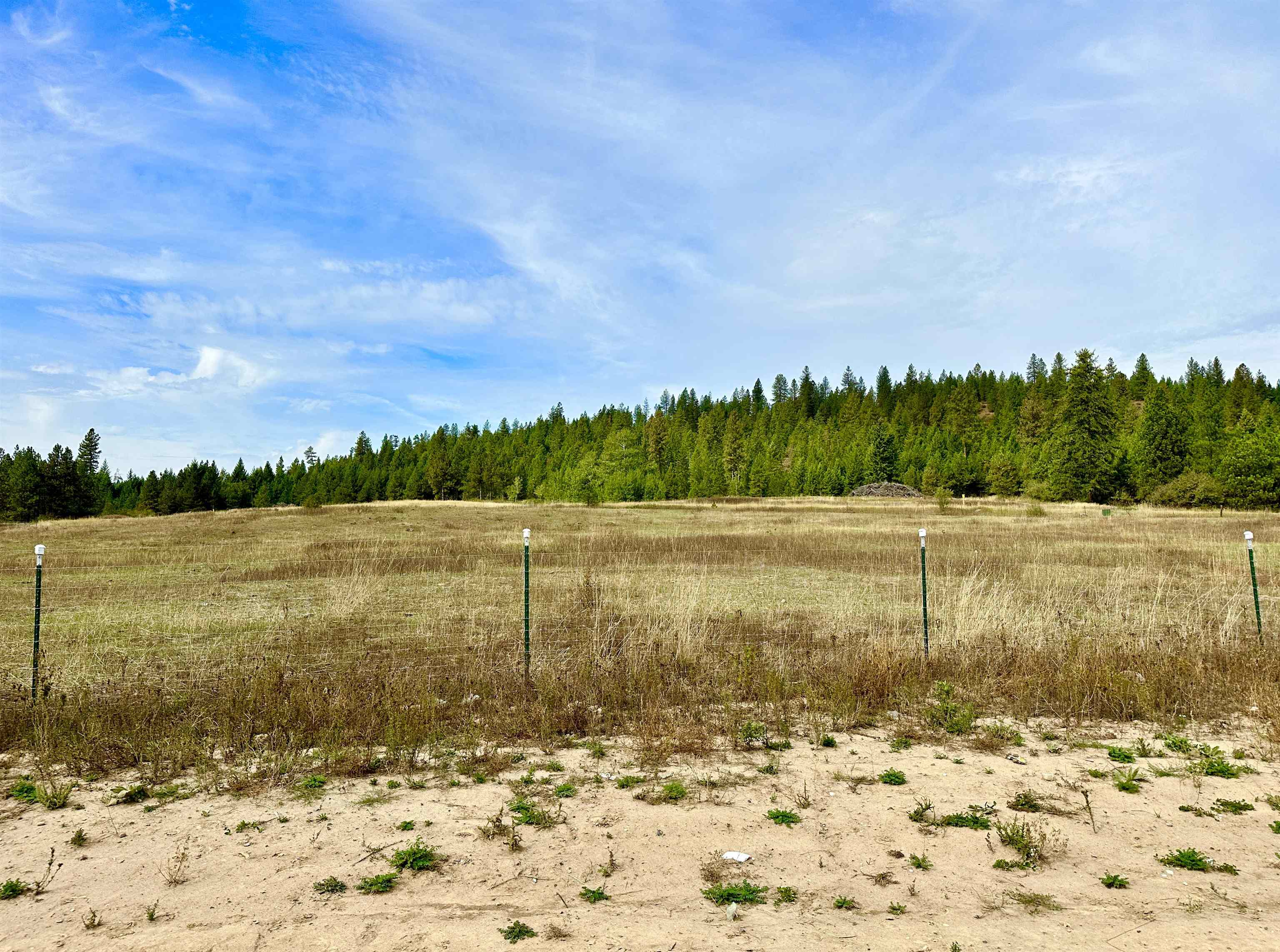 4583 B Springdale Hunters Road Springdale, WA 99173 - Photo 44 of 50