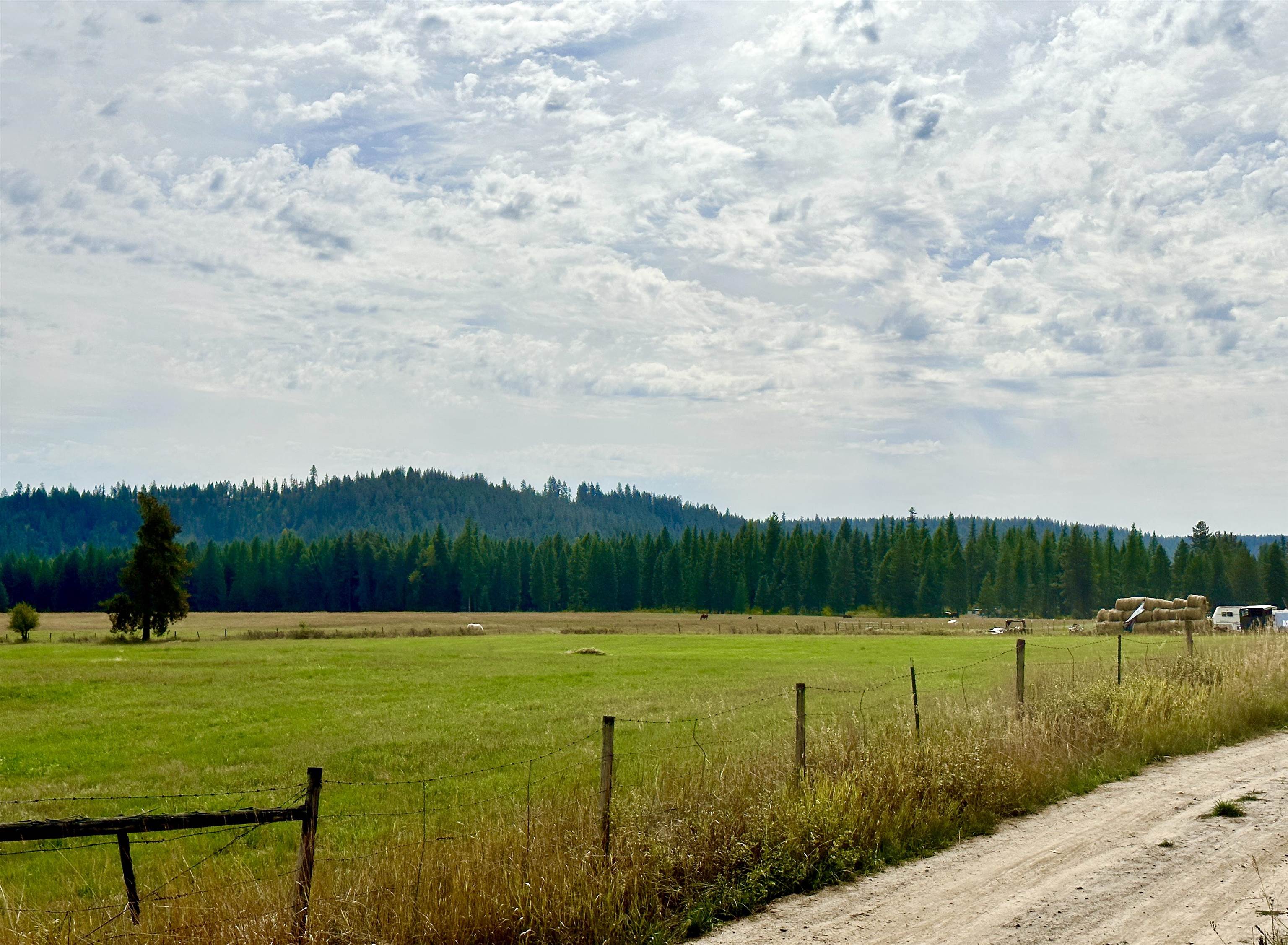 4583 B Springdale Hunters Road Springdale, WA 99173 - Photo 46 of 50